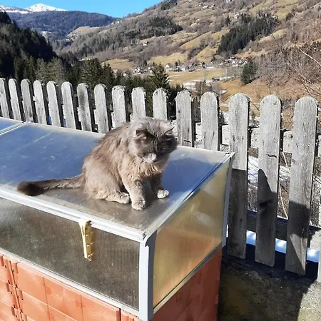 Farma Haus Edlinger Sankt Georgen ob Murau