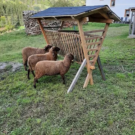 Haus Edlinger Sankt Georgen ob Murau