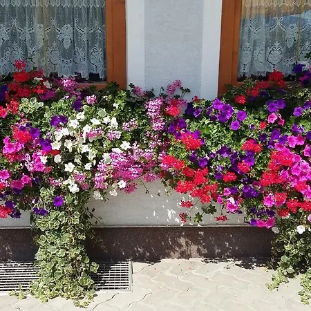 Haus Edlinger Alojamento de Turismo Rural