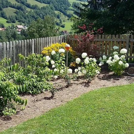 Haus Edlinger Inclusive Murau Sommer Gaeste Card Farm stay *