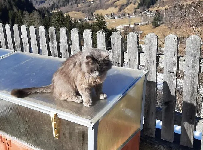 Farm stay Haus Edlinger Sankt Georgen ob Murau