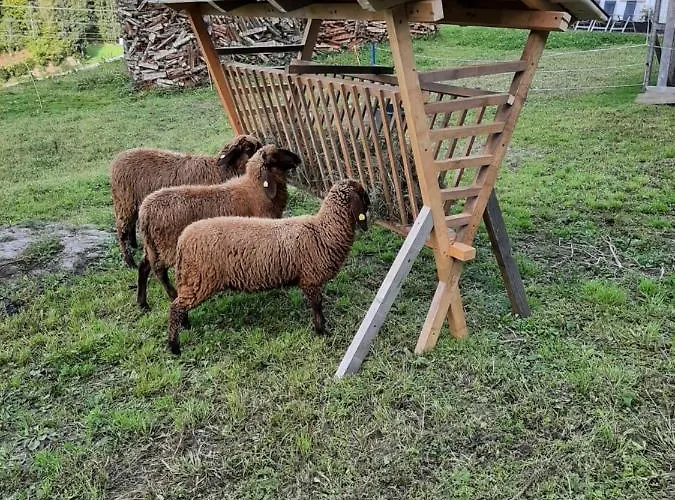 Haus Edlinger Sankt Georgen ob Murau