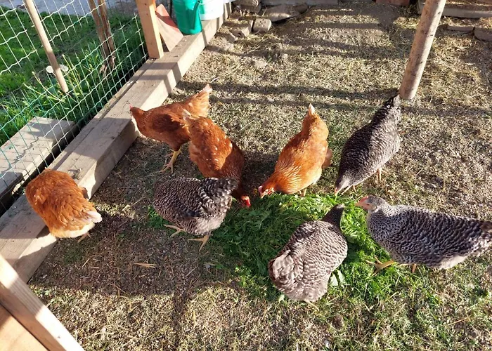 Haus Edlinger Farm stay