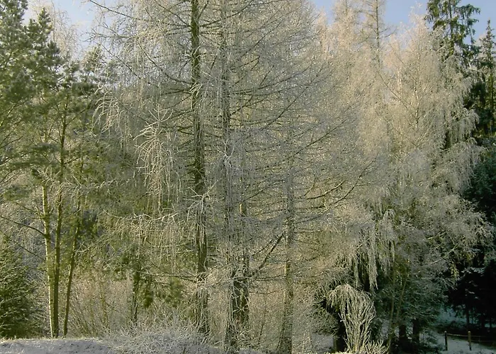 Haus Edlinger Feriegård Sankt Georgen ob Murau
