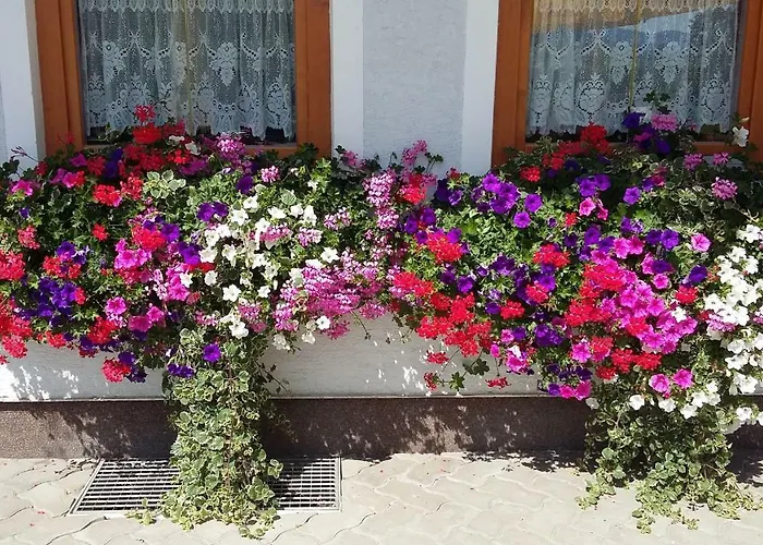 Haus Edlinger Farm stay